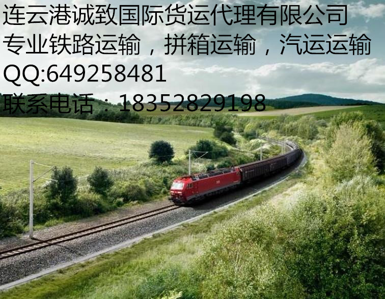 ӦƸ׶˹ ˹ Ǽ144809 ·