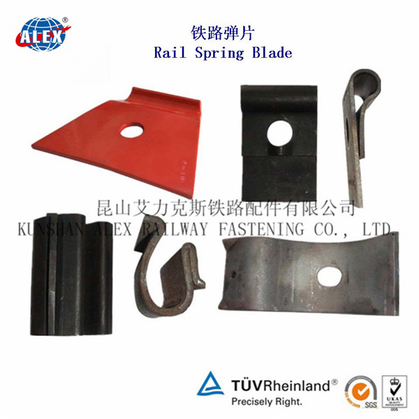 ��·��Ƭ��NABLA��Ƭ