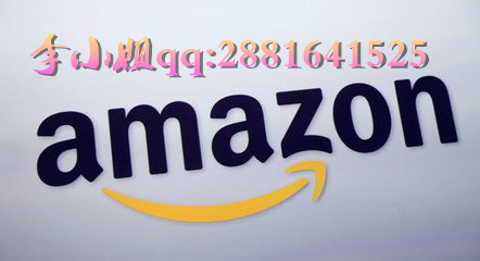 专业版Amazon：打造您的电商帝国