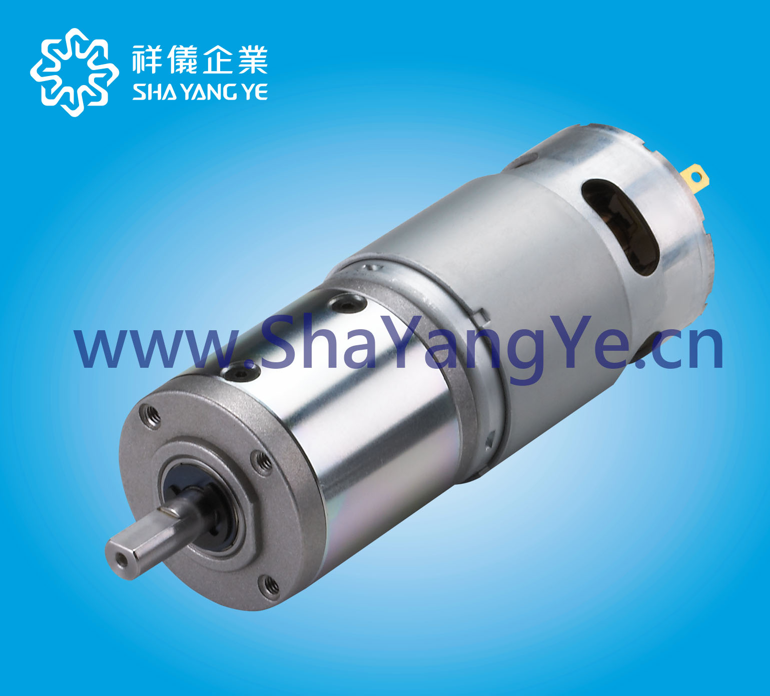 SHAYANGYE  IG42GMǳּٻ