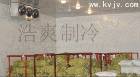 ˱߲˱ʿ-˱ˮʿ-˱ưװ