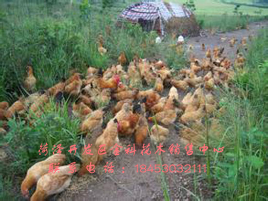 ϻޣӶǮһ  ϻޣӼ۸