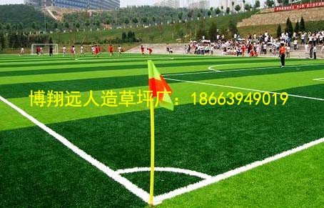 济宁中心有足球场吗冬季,济宁中心有足球场吗冬季开放吗