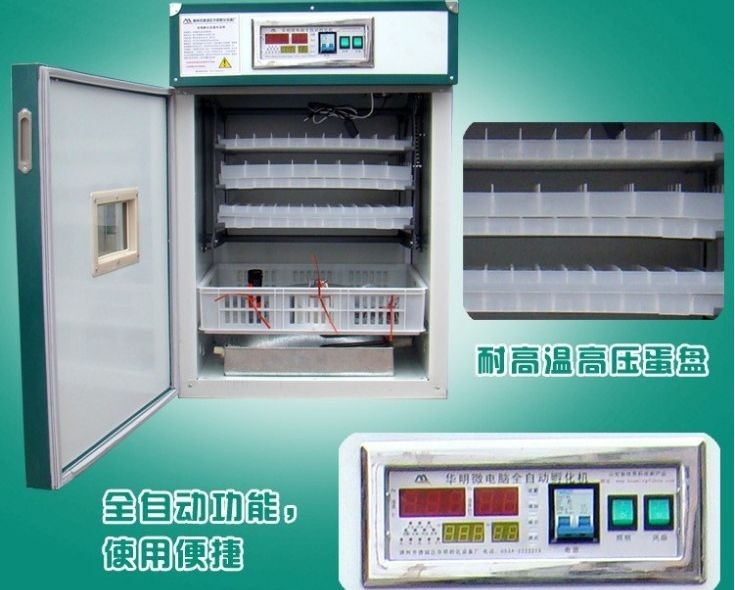 ŻݼȫԶ1232ö쵰뵰ͼƬ